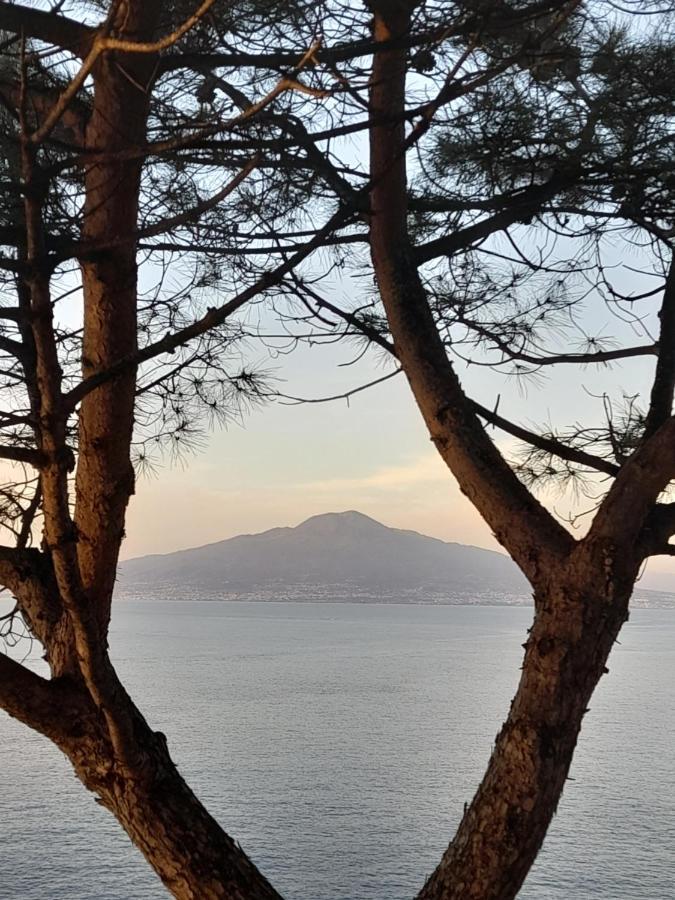 Il Platano Panzió Piano di Sorrento Kültér fotó